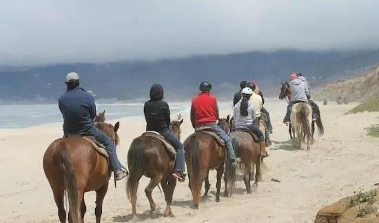 洛杉磯自駕游最佳路線_洛杉磯的自駕游_洛杉磯自駕游游玩攻略