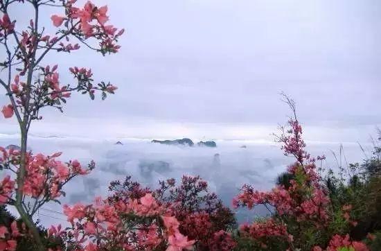 藍田縣旅游攻略_藍田縣旅游景點_藍田縣旅游景點一日游攻略