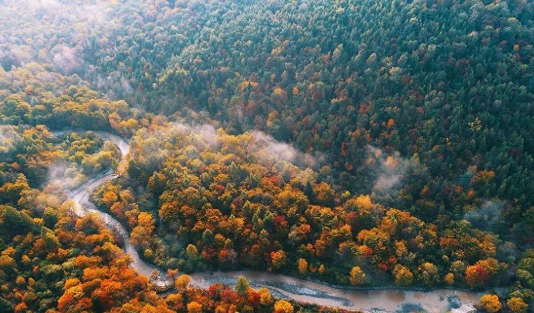 新年自駕之旅:長(zhǎng)白山、黃山等美景勝地門票價(jià)格與景點(diǎn)介紹