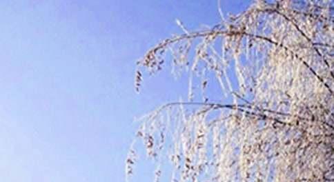 12 月東北旅游，冰雪樂園重拾童心，哈爾濱冰雪節等你來