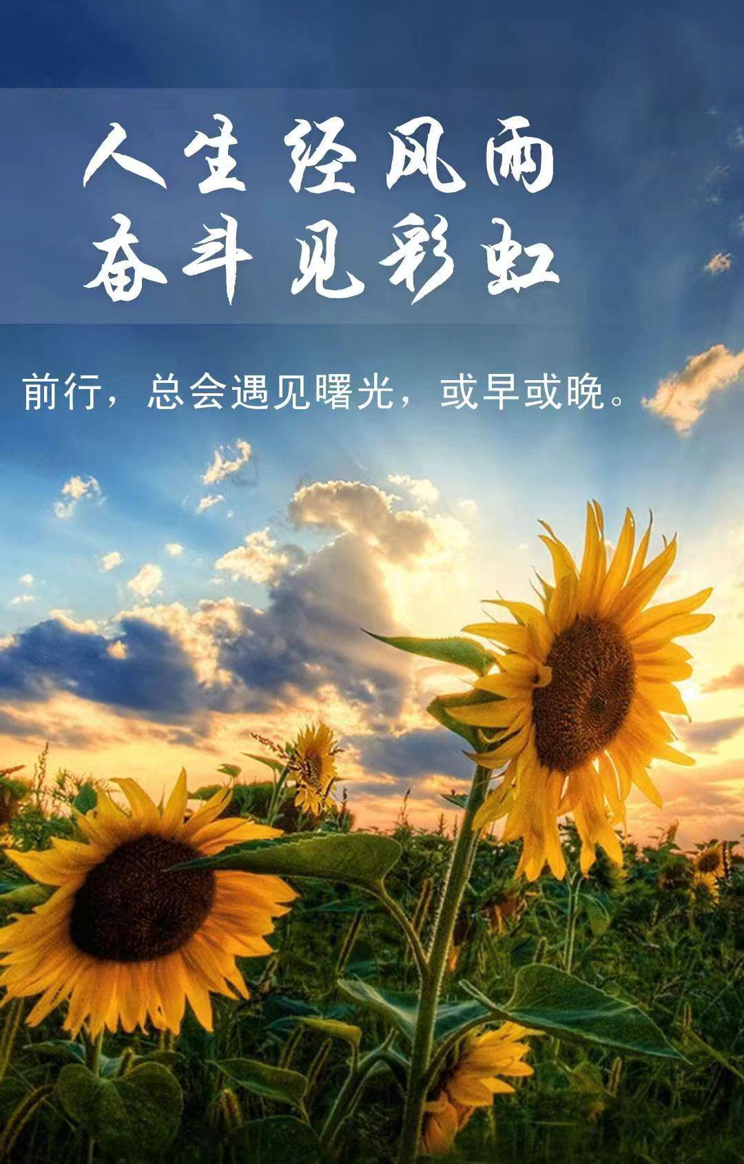 印度旅游跟團(tuán)_印度旅游團(tuán)_印度旅游團(tuán)報價