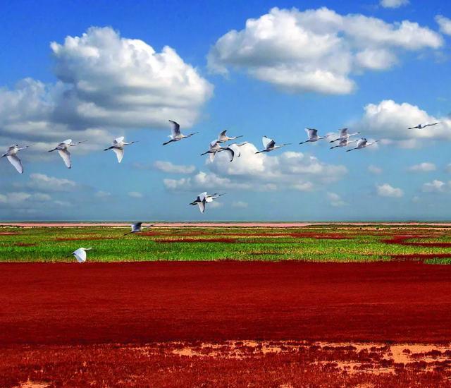 天津至蓬萊自駕游_天津去蓬萊自駕游攻略_從蓬萊到天津路過哪些景區(qū)