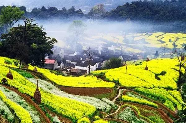 自駕去寧波_從寧波出發自駕游路線_自駕寧波出發路線游玩攻略