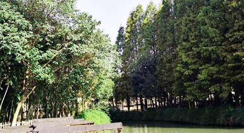 南京旅游攻略:從北京出發,暢游總統府與南京大屠殺遇難同胞紀念館