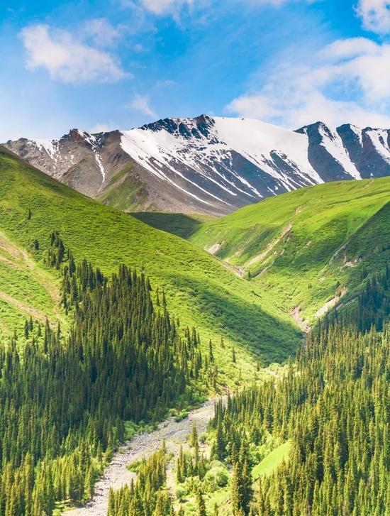 火車坐上鋪還是中鋪還是下鋪好_坐在火車上_火車坐上鋪好還是下鋪好