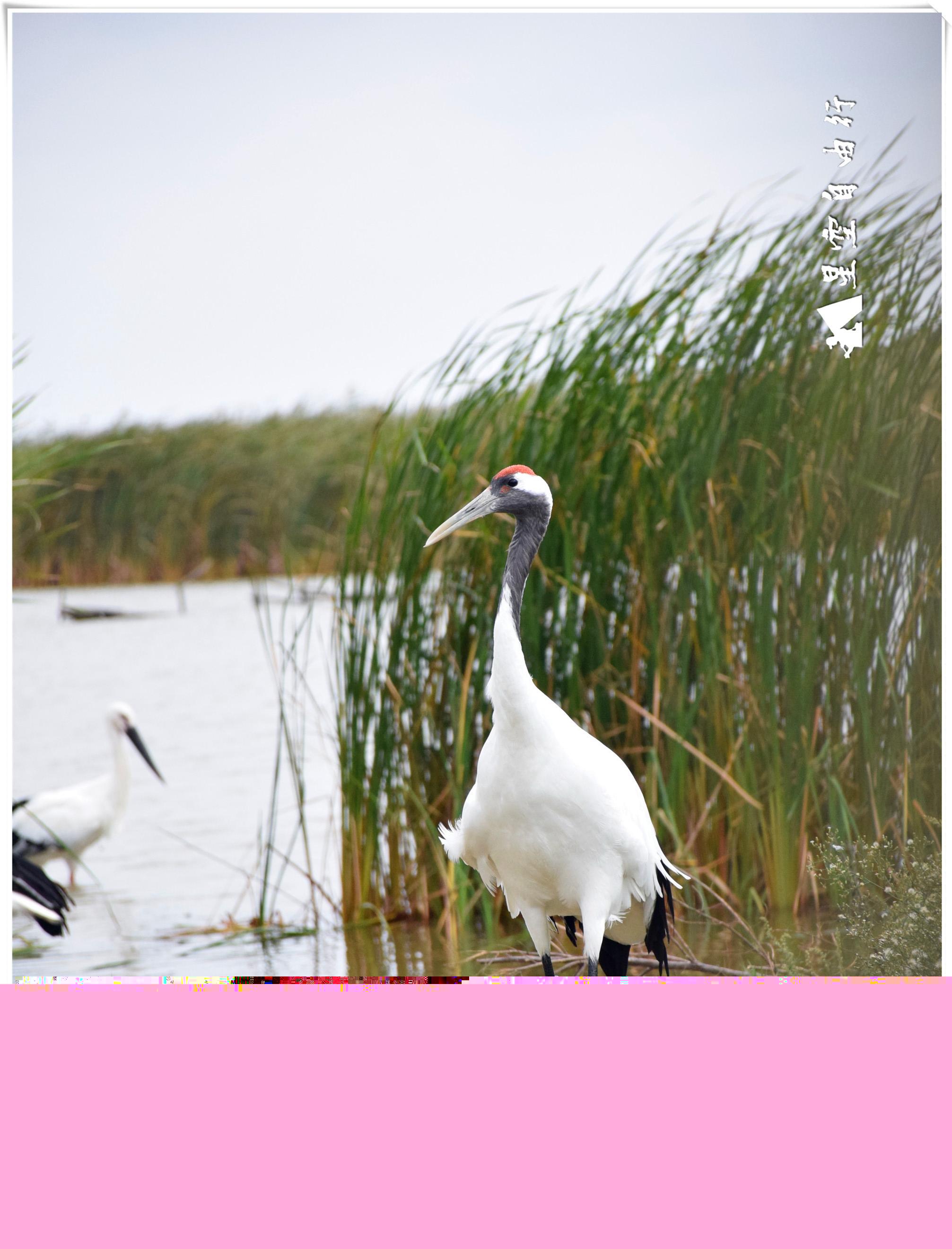 自駕游天柱山旅游攻略_5天自駕游_自駕游天門山在哪里停車方便