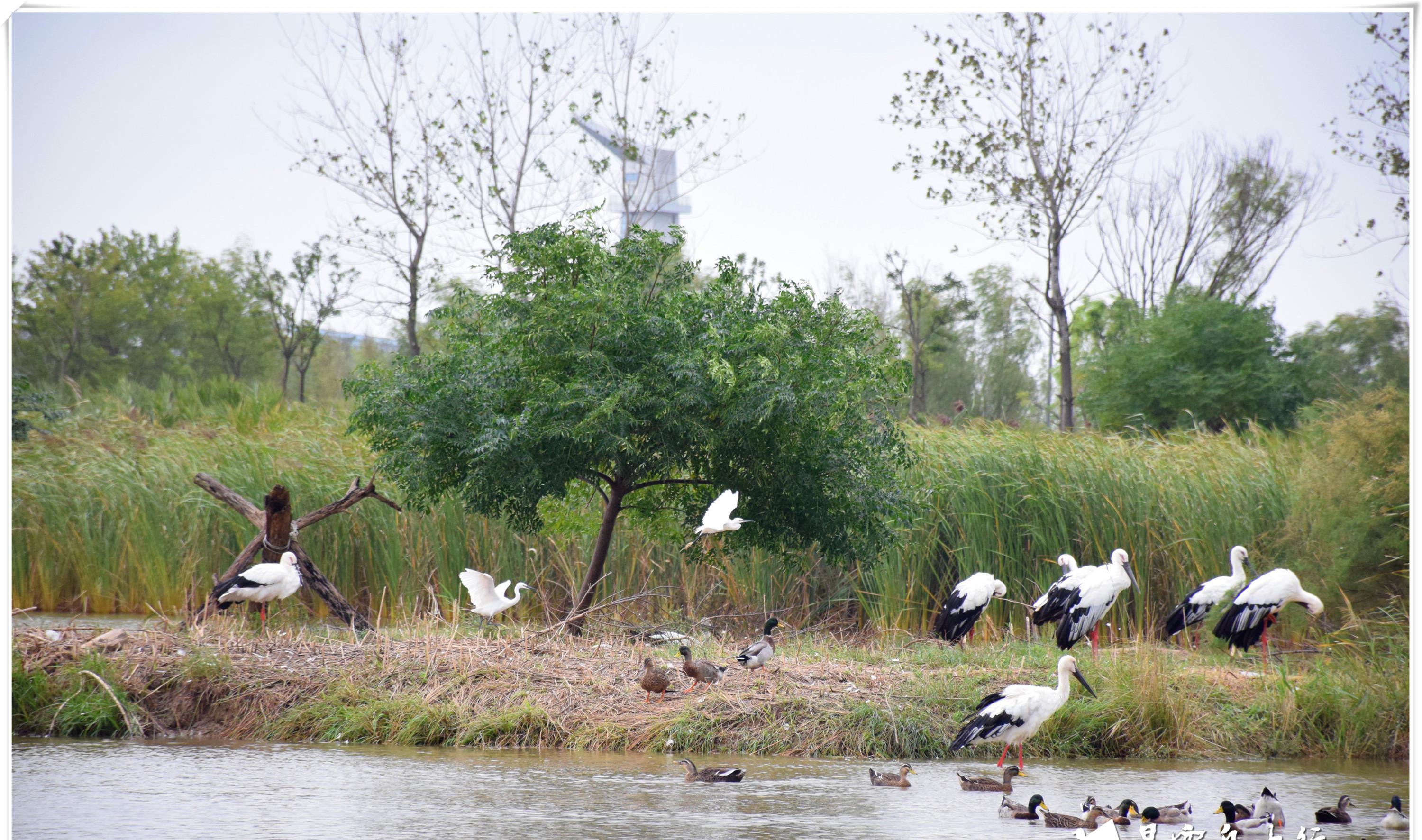 5天自駕游_自駕游天門山在哪里停車方便_自駕游天柱山旅游攻略