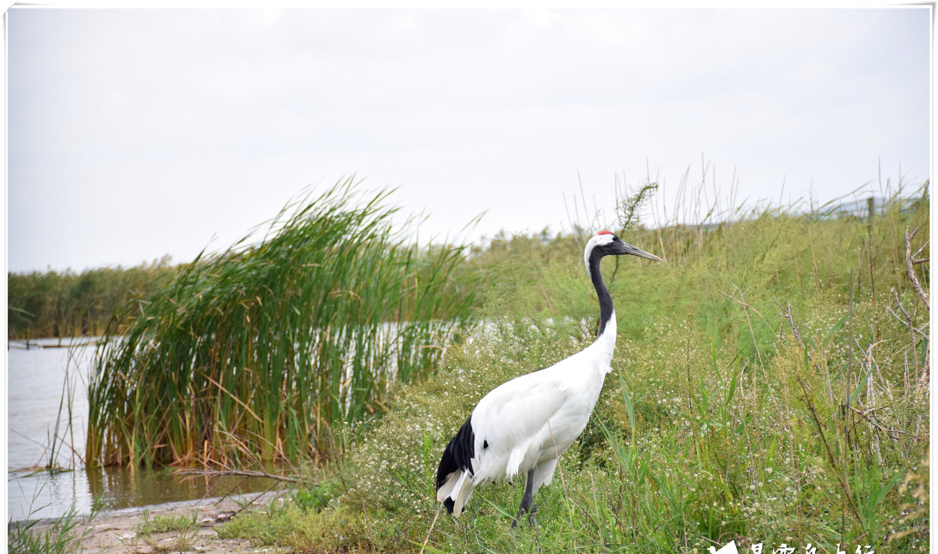 自駕游天門山在哪里停車方便_自駕游天柱山旅游攻略_5天自駕游
