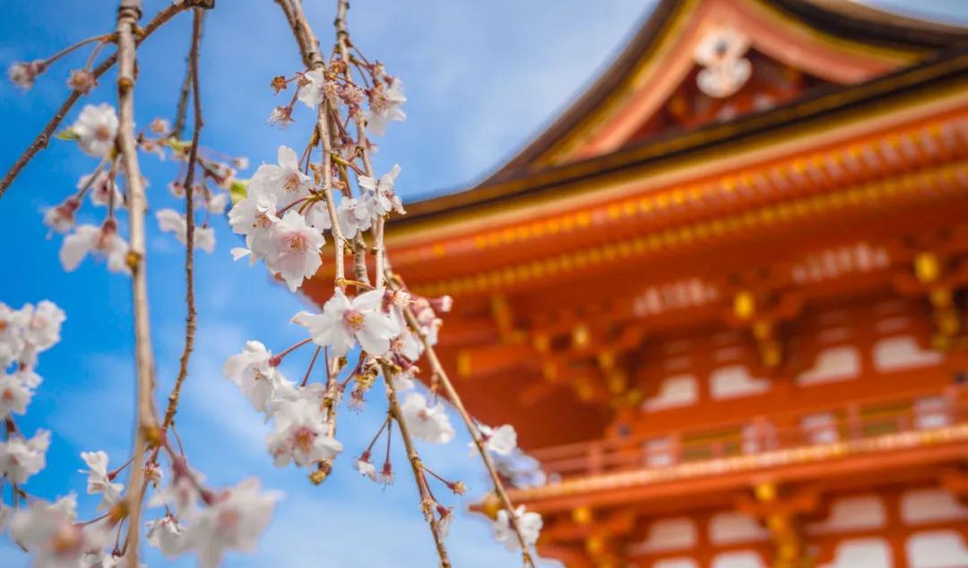 旅游玩家崔維斯_玩家旅游_旅游玩家王小明