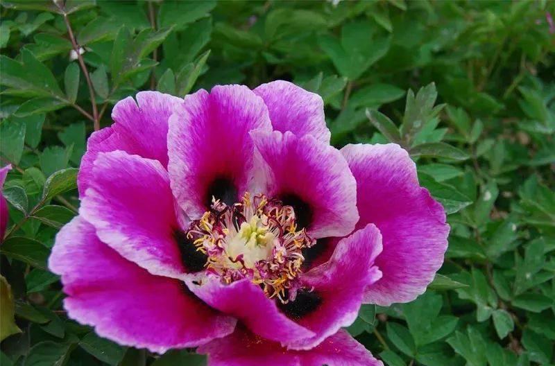 深圳到成都自駕路線攻略：一路美食與美景，24 小時的悠閑之旅