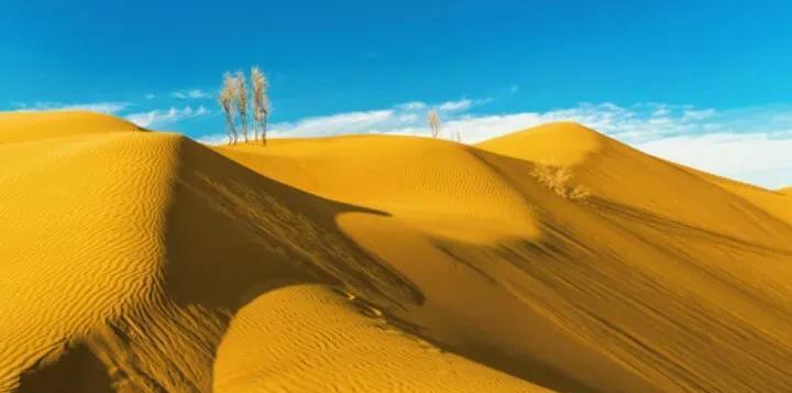 中衛旅游攻略：探索寧夏中衛的自然風光與人文景觀