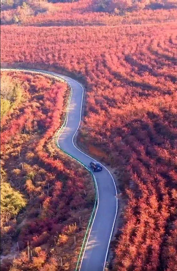 湖南株洲出發川藏線自駕游，詳細路線規劃及必備準備