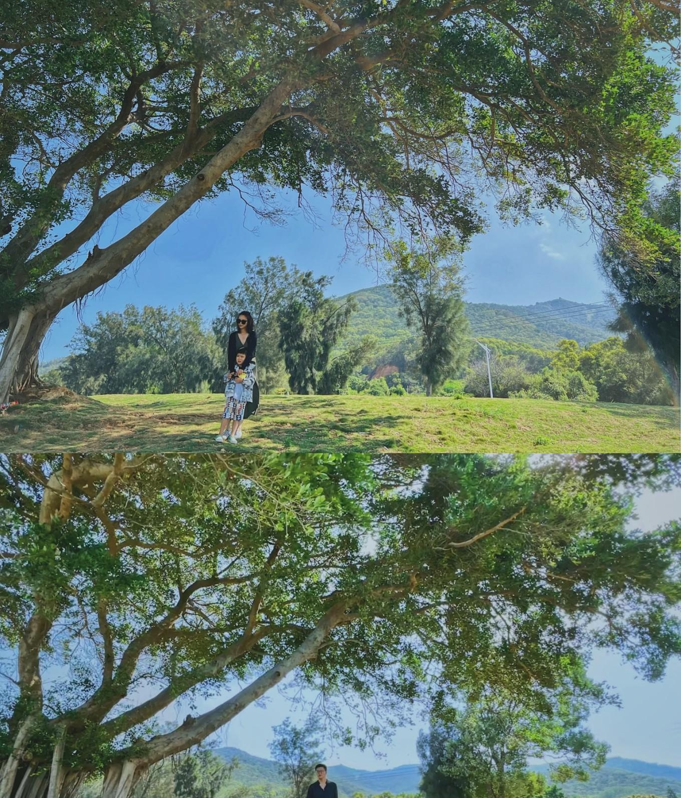 梅州去南澳自駕游費(fèi)用_梅州到南澳島自駕游_梅州離南澳島多少公里