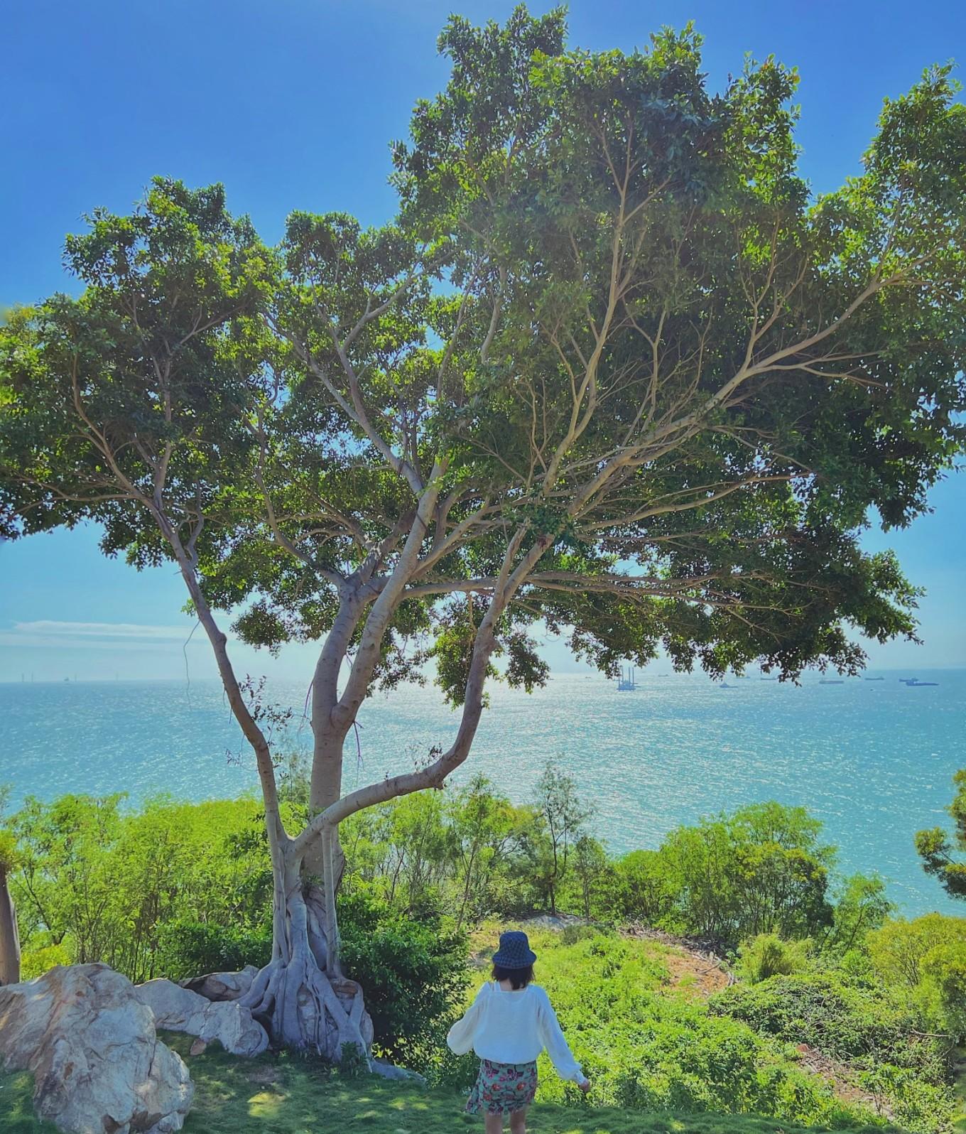 梅州離南澳島多少公里_梅州去南澳自駕游費(fèi)用_梅州到南澳島自駕游