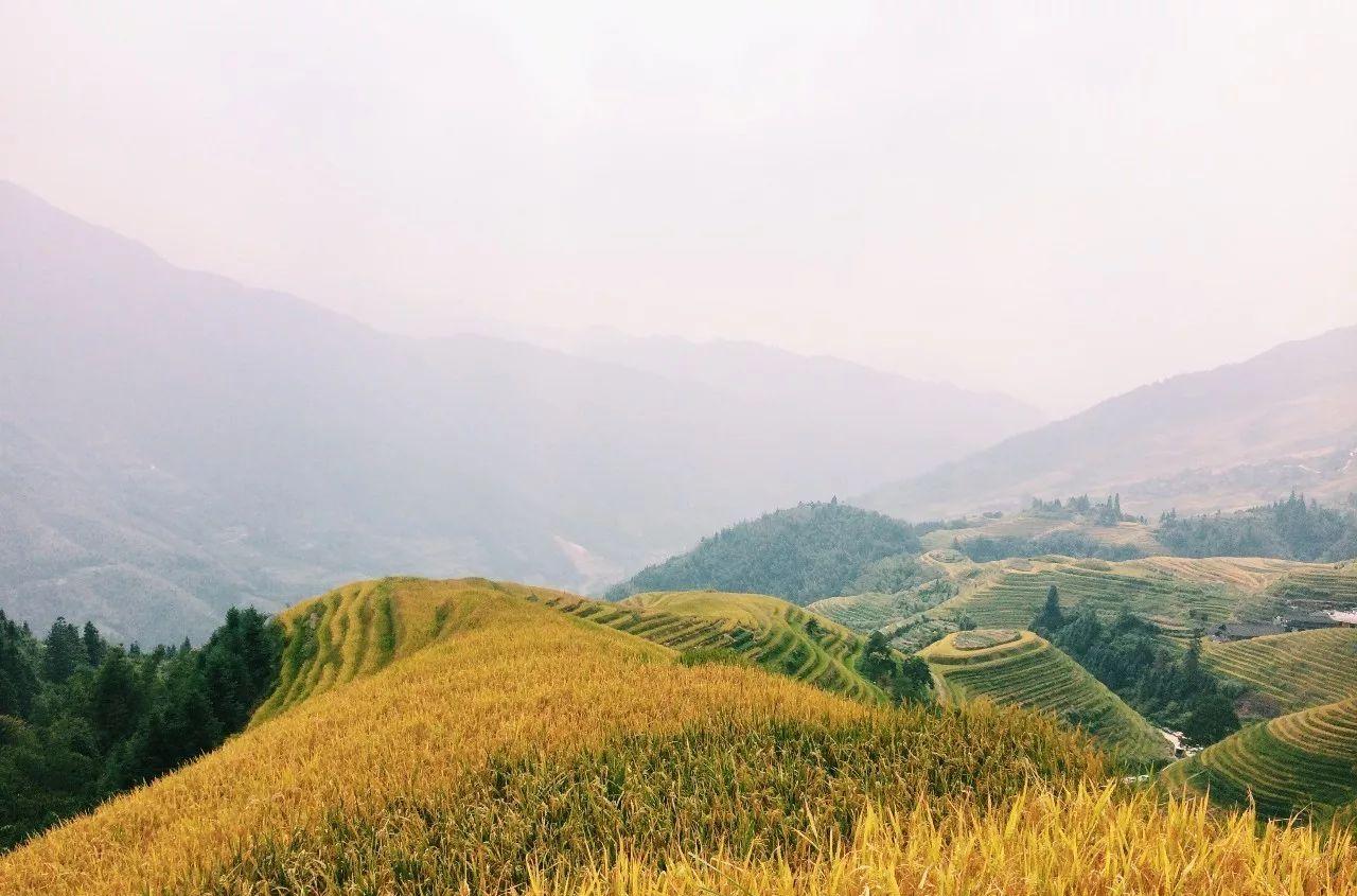 桂林國慶旅游_桂林國慶旅游人多嗎_桂林國慶旅游收入