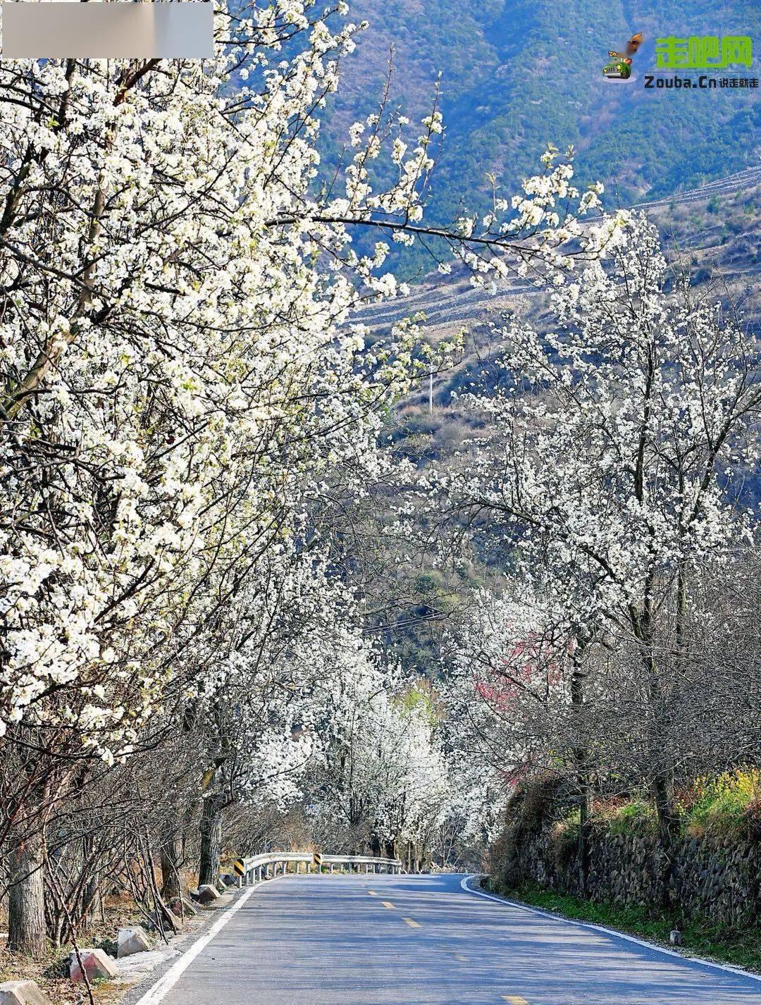 自駕游華南_華南旅游景點_華南自駕游路線