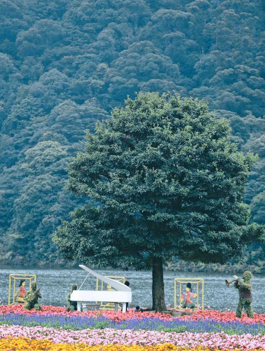 華南旅游路線_自駕游華南_華南旅游景點