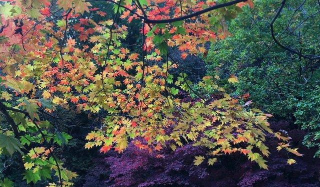 本溪旅游景點有哪些景點_本溪旅游景點_本溪旅游景點有哪些