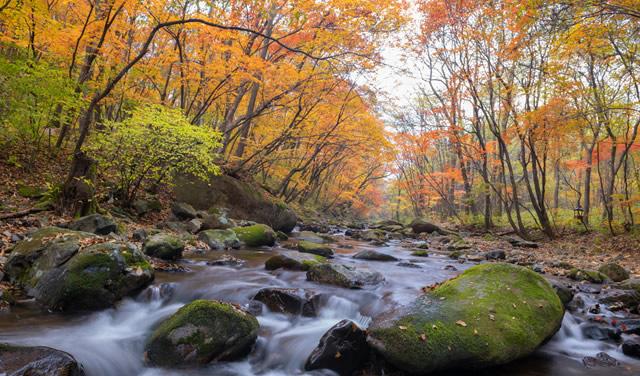 本溪旅游景點_本溪旅游景點有哪些景點_本溪旅游景點有哪些