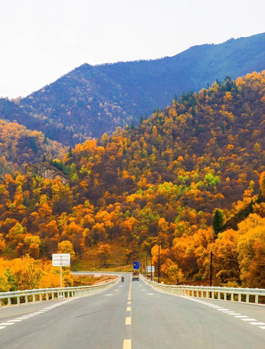 蘭州自駕游一日游攻略_蘭州自駕游群_蘭州市自駕游