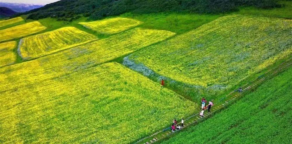 蘭州自駕游一日游攻略_蘭州自駕游群_蘭州市自駕游