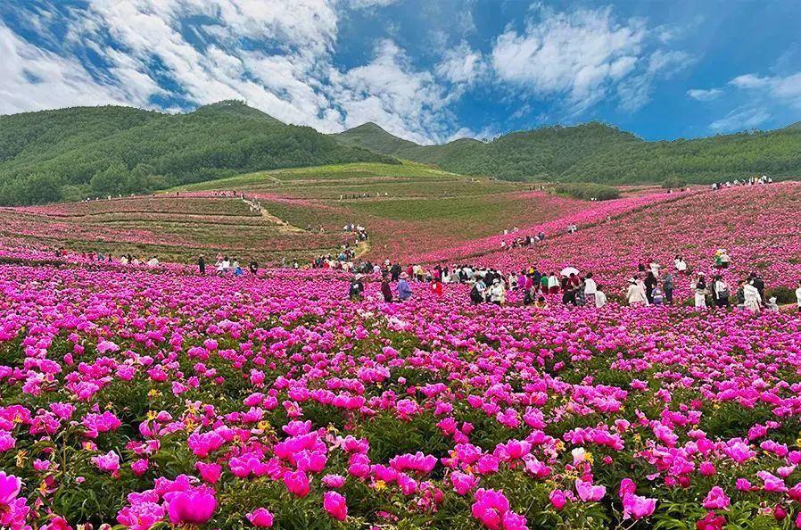 蘭州自駕游群_蘭州市自駕游_蘭州自駕游一日游攻略