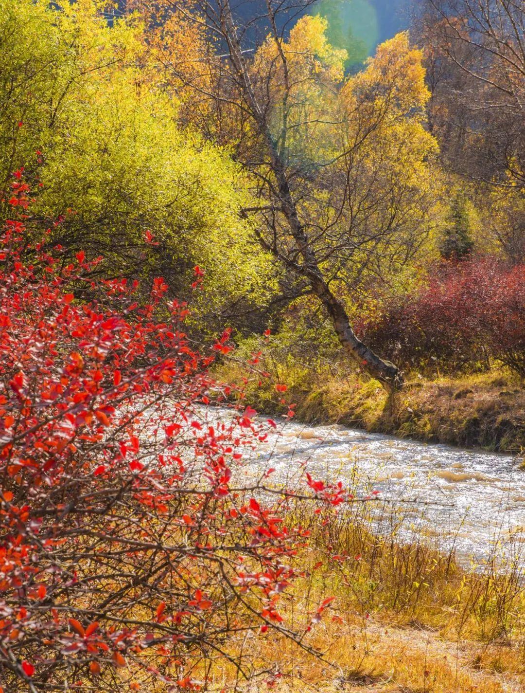 蘭州自駕游一日游攻略_蘭州自駕游群_蘭州市自駕游