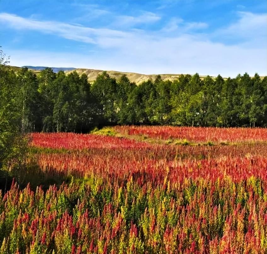 蘭州市自駕游_蘭州自駕游一日游攻略_蘭州自駕游群