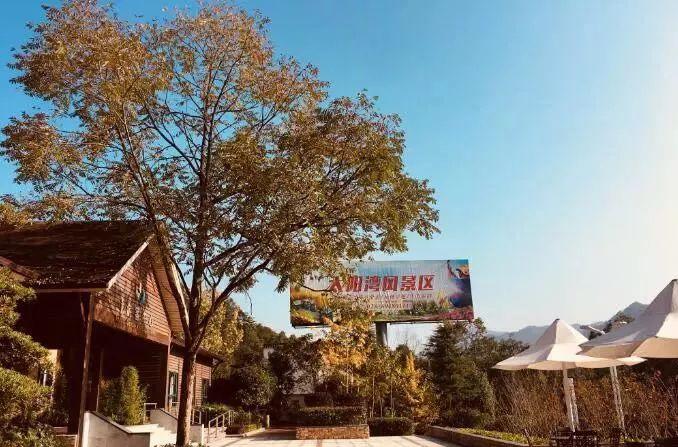 成都旅游協(xié)會(huì)電話號(hào)碼_成都旅游協(xié)會(huì)官網(wǎng)_成都旅游協(xié)會(huì)