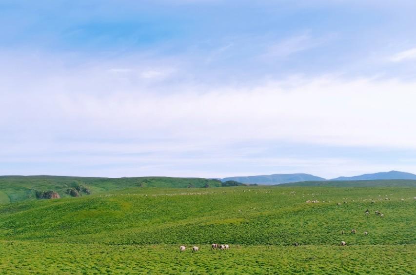 蘭州自駕游線(xiàn)路_蘭州自駕游群_蘭州自駕團(tuán)