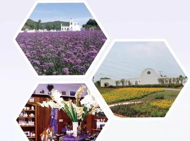 重慶云陽旅游團(tuán)_重慶旅游云陽疫情政策_(dá)重慶云陽旅游