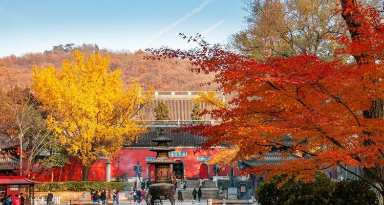 南京鐘山景區：集自然與人文景觀于一體的旅游勝地