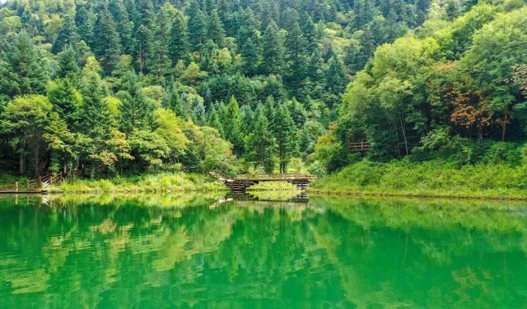 自駕石窟山游麥積寺攻略_麥積山石窟自駕游_自駕石窟山游麥積山路線