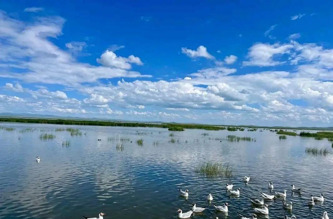 自駕石窟山游麥積寺攻略_自駕石窟山游麥積山路線_麥積山石窟自駕游
