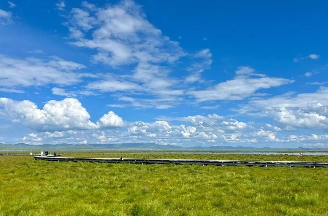 自駕石窟山游麥積寺攻略_自駕石窟山游麥積山路線_麥積山石窟自駕游