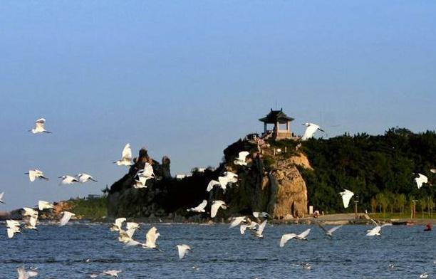 遼寧周邊旅游必去十大景點_遼寧周邊旅游景點大全自駕_遼寧周邊旅游