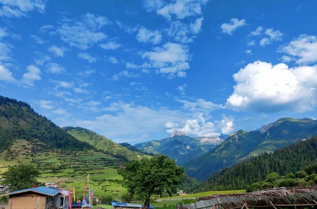 石窟麥積山石窟_麥積山石窟累嗎_麥積山石窟自駕游