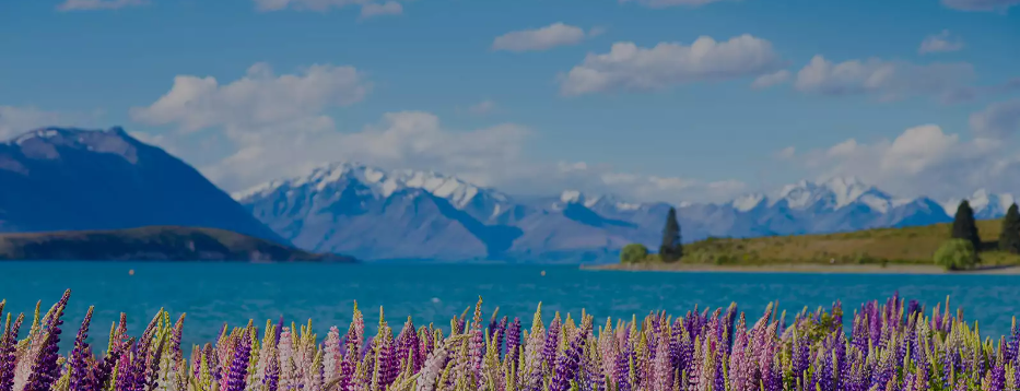 新西蘭的旅游業(yè)_新西蘭旅游業(yè)_新西蘭業(yè)旅游發(fā)展現(xiàn)狀