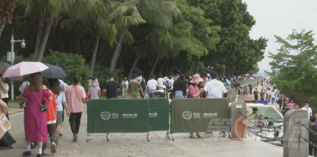 住深圳旅游好嗎_住深圳旅游好嗎現(xiàn)在_深圳旅游住哪里好