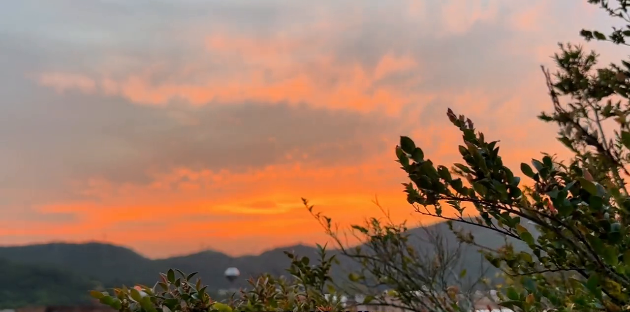深圳旅游住什么位置方便_旅游深圳住哪里比較好_深圳旅游住哪里好