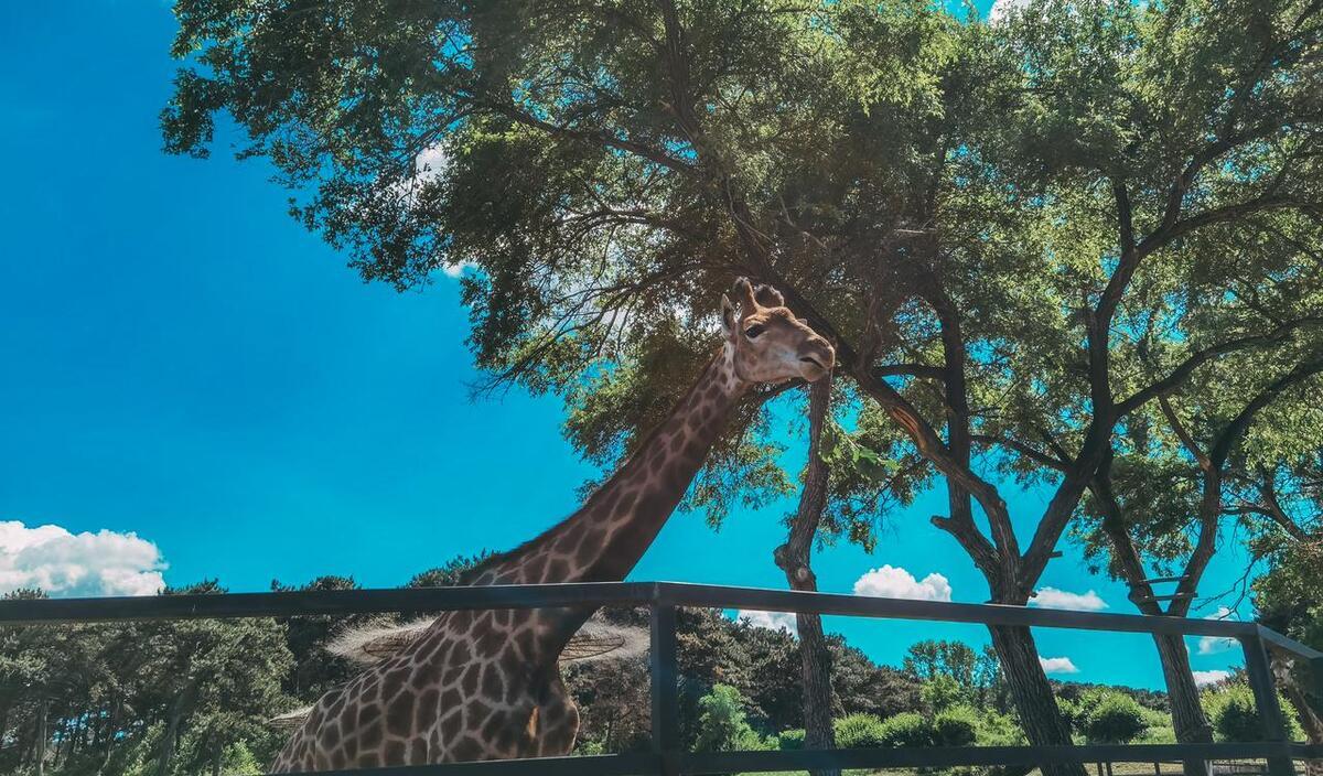 遼寧周邊旅游_遼寧周邊旅游2-3天推薦地方_遼寧周邊旅游景點大全自駕