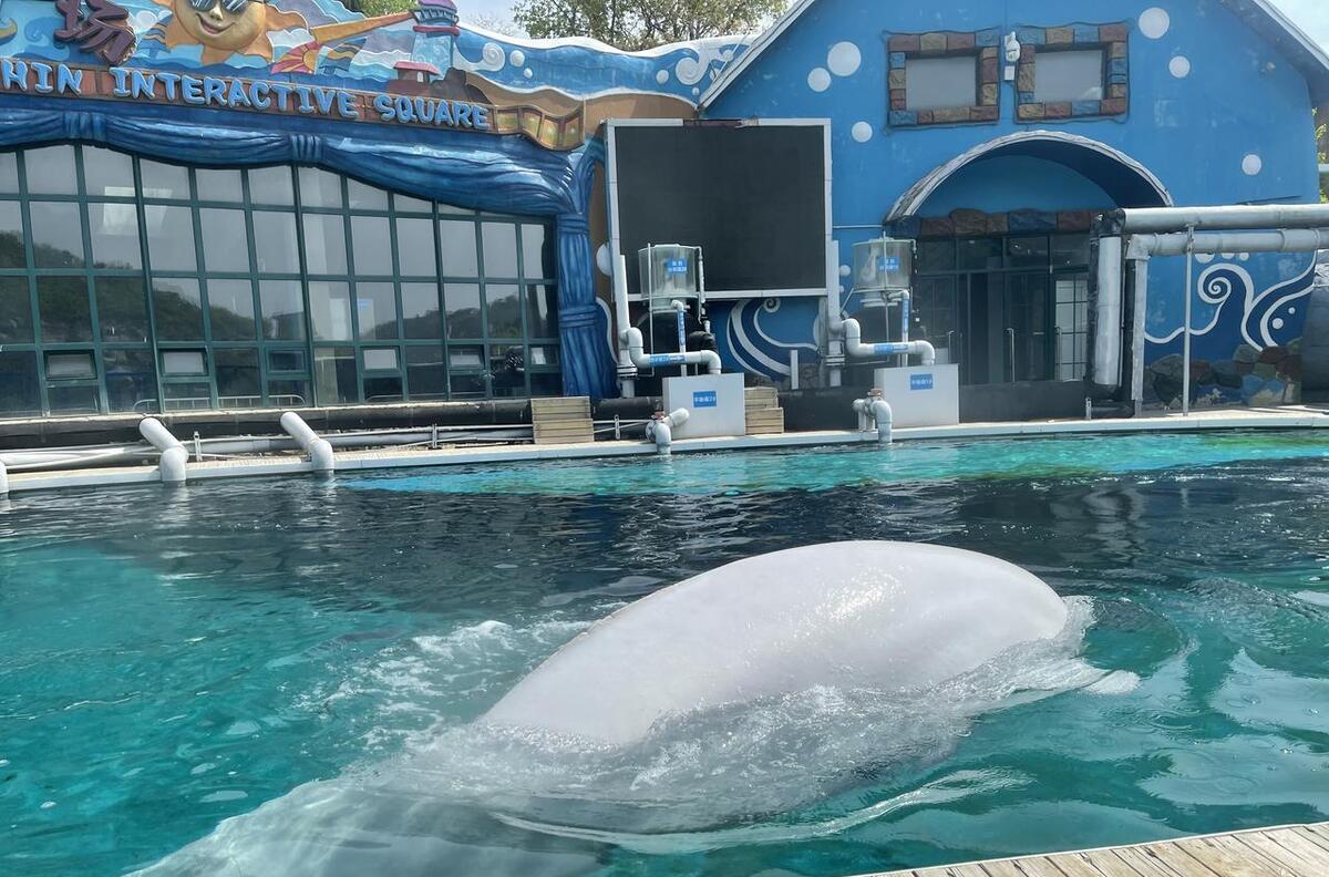 遼寧周邊旅游2-3天推薦地方_遼寧周邊旅游景點大全自駕_遼寧周邊旅游