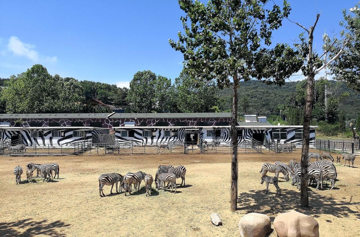 遼寧周邊旅游景點大全自駕_遼寧周邊旅游_遼寧周邊旅游2-3天推薦地方