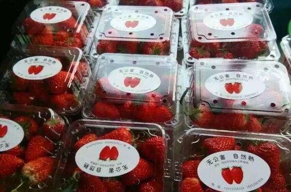 旗山旅游景點_自駕游旗山_旗山一日游怎么安排