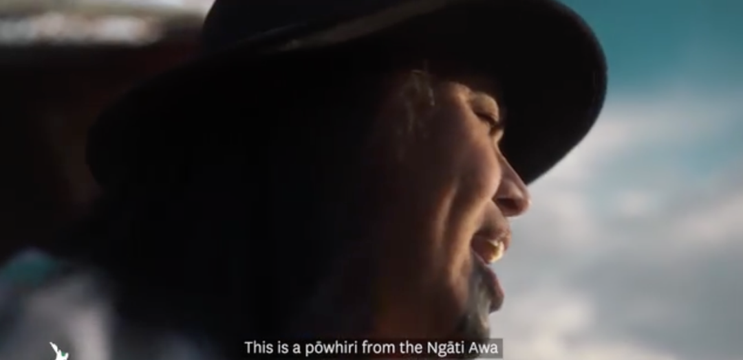 新西蘭的旅游業_新西蘭旅游業_新西蘭旅游項目