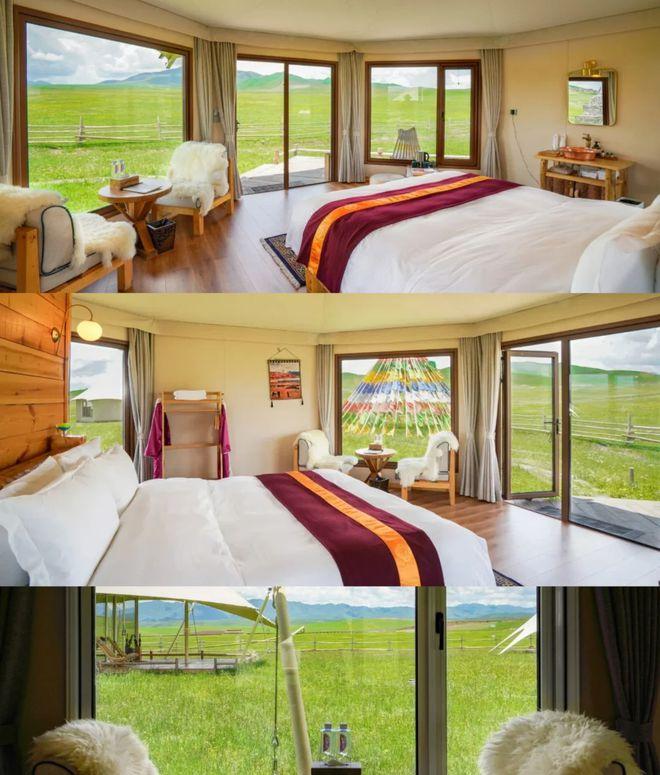 阿米貢洪之旅:邂逅自然盛宴,留存美好記憶