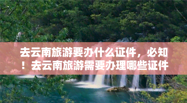 去大理旅游要辦什么證件?導(dǎo)游為你詳細(xì)解答