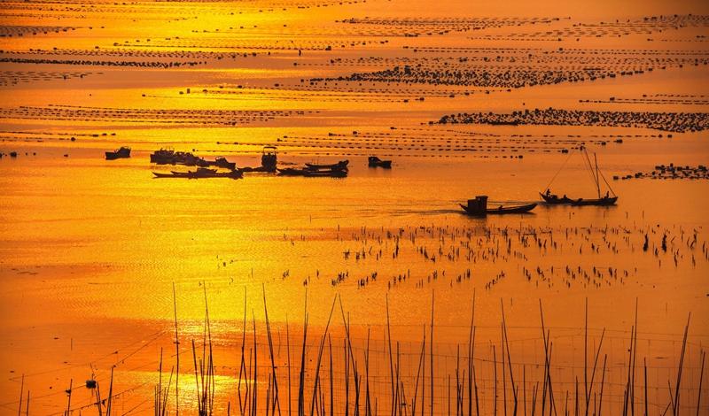 2019 年春節自駕旅游攻略,東海沿線感受氣候與海面變化,探索霞浦紫菜豐收季