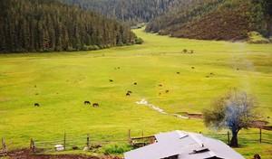 自駕宗游巴拉格多少錢_巴拉格宗自駕游兩日_巴拉格宗景區可以自己開車嗎