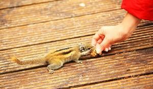 巴拉格宗自駕游兩日_自駕宗游巴拉格多少錢_巴拉格宗景區可以自己開車嗎